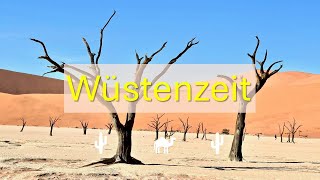 Predigt: Wüstenzeit