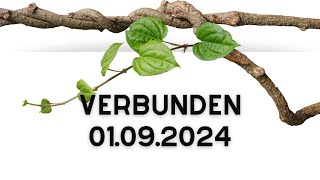 Predigt: Verbunden