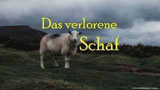 Predigt: Das Gleichnis vom verlorenen Schaf